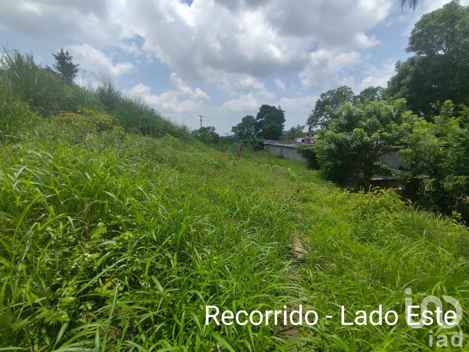 Fotos adicionales