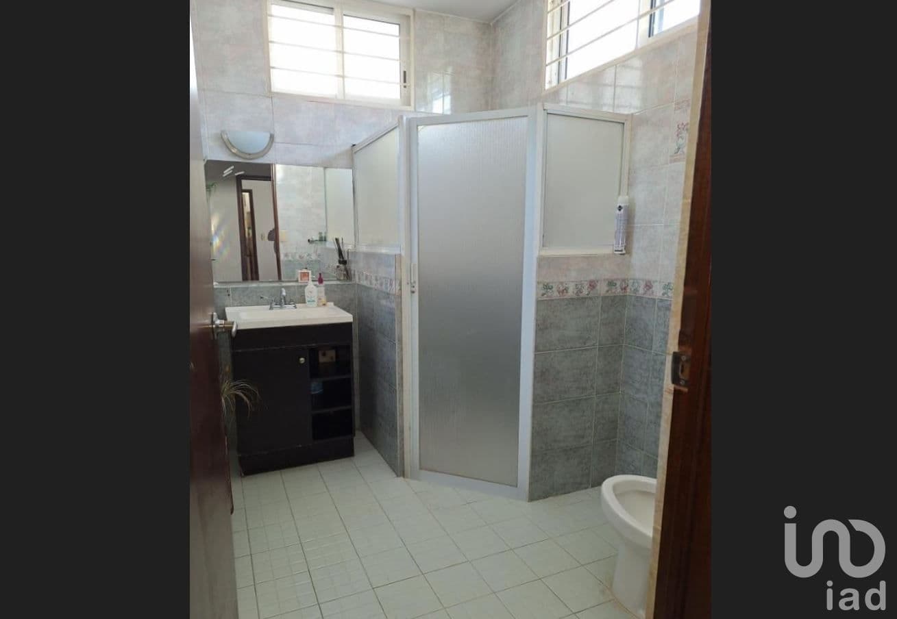 Fotos adicionales