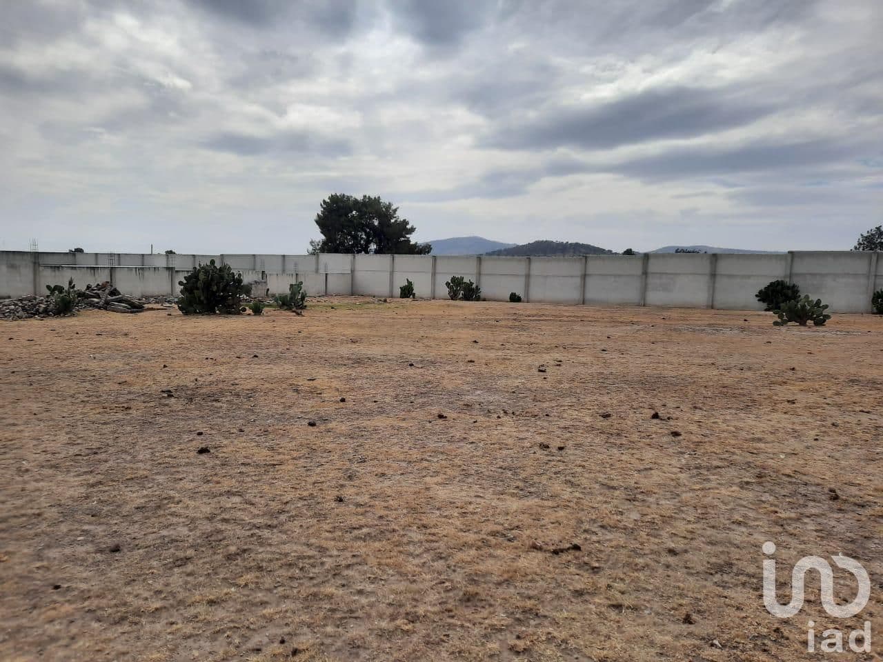 Fotos adicionales
