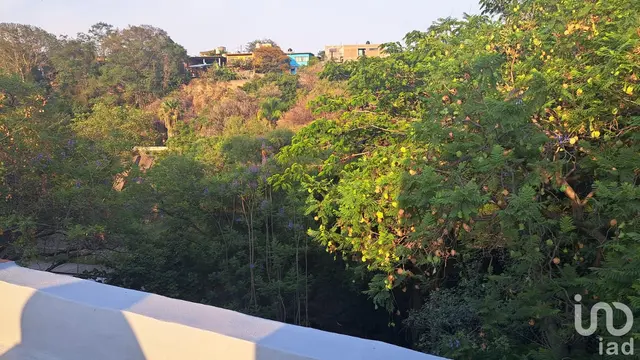 Casa en Renta Residencial Chapultepec Cuernavaca, Morelos