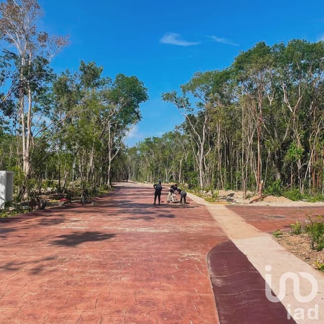 Terreno en Venta Senderos de Mayakoba