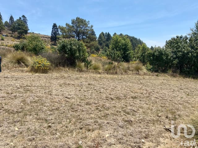 Gran Oportunidad terreno en venta Huxquilucan
