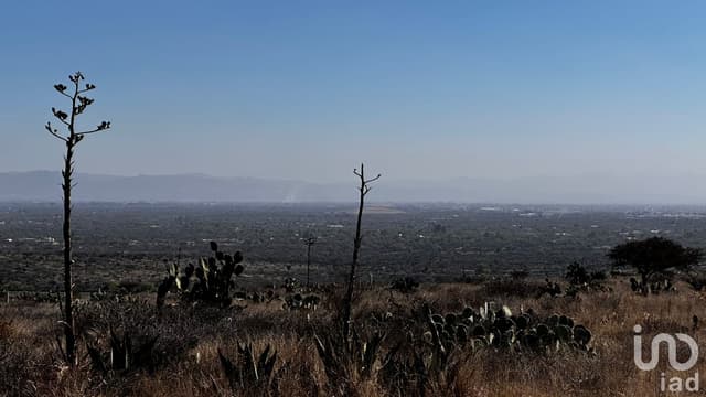 Terreno rustico en Agua Señora, en municipio de Mexquitic de Carmona