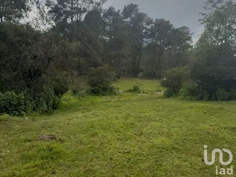Fotos adicionales