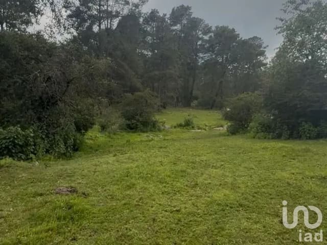 Venta Terreno de 6 hectáreas 3,020 m² (63,020 m²)