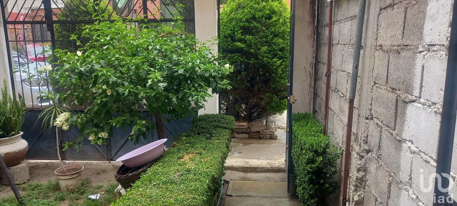 Fotos adicionales