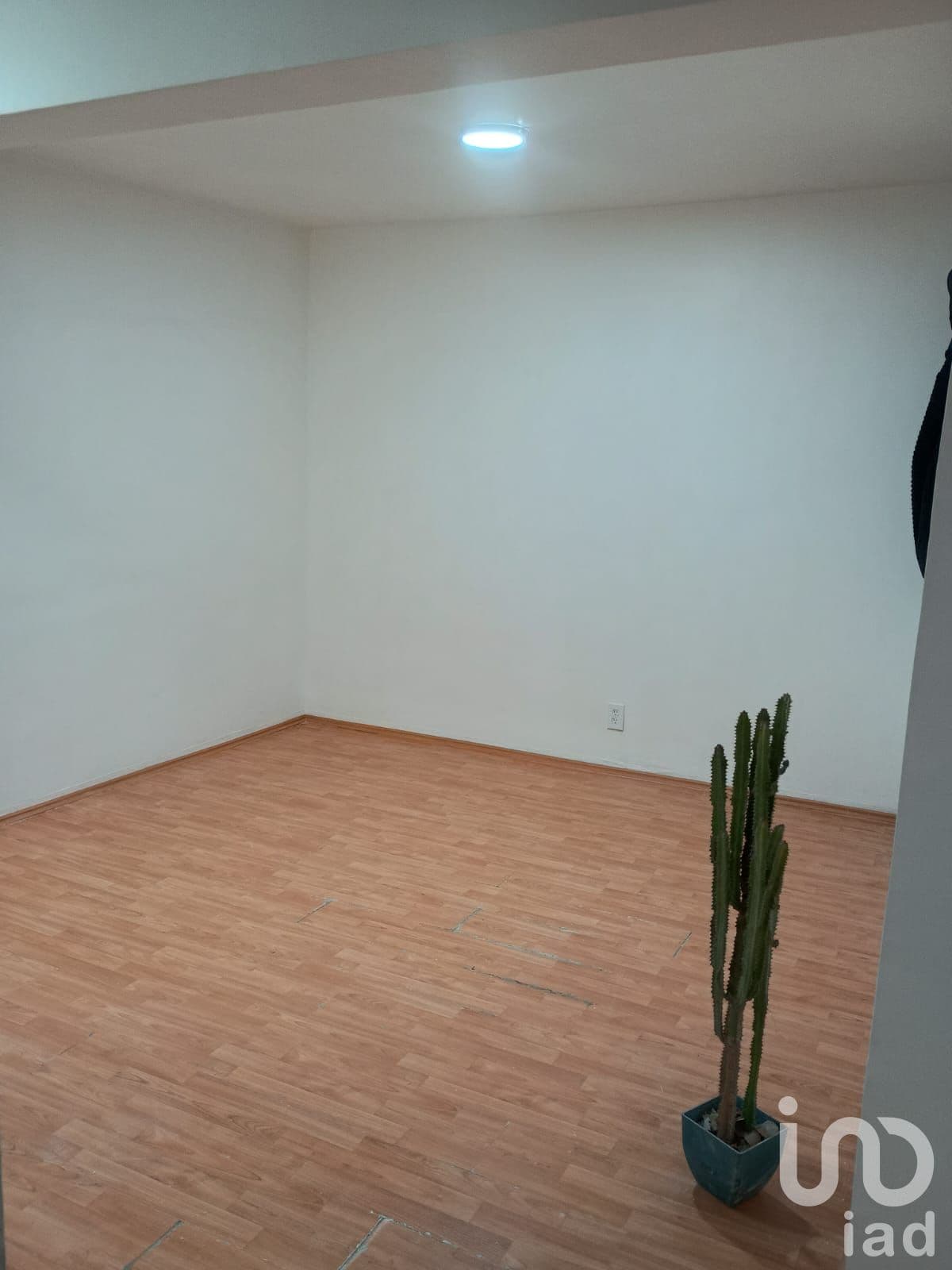 Fotos adicionales