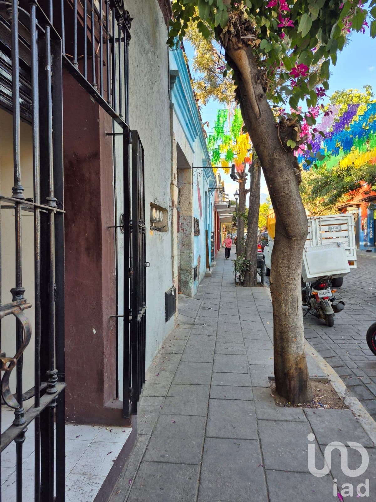 Fotos adicionales