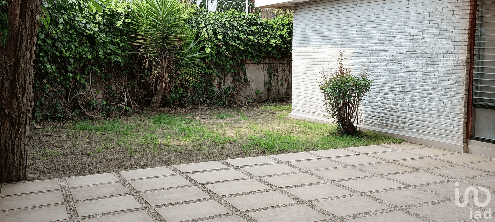 Fotos adicionales