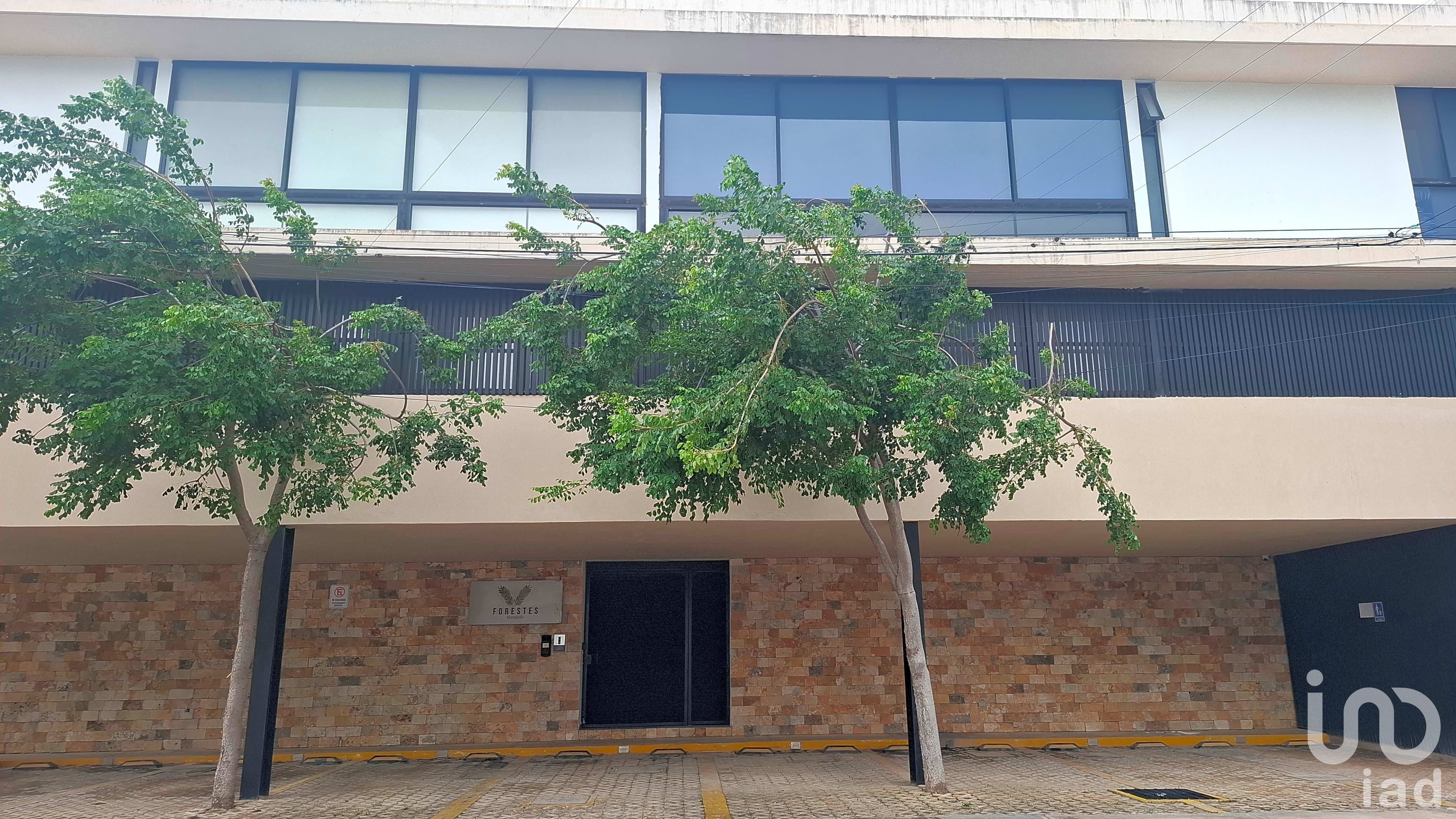 Fotos adicionales