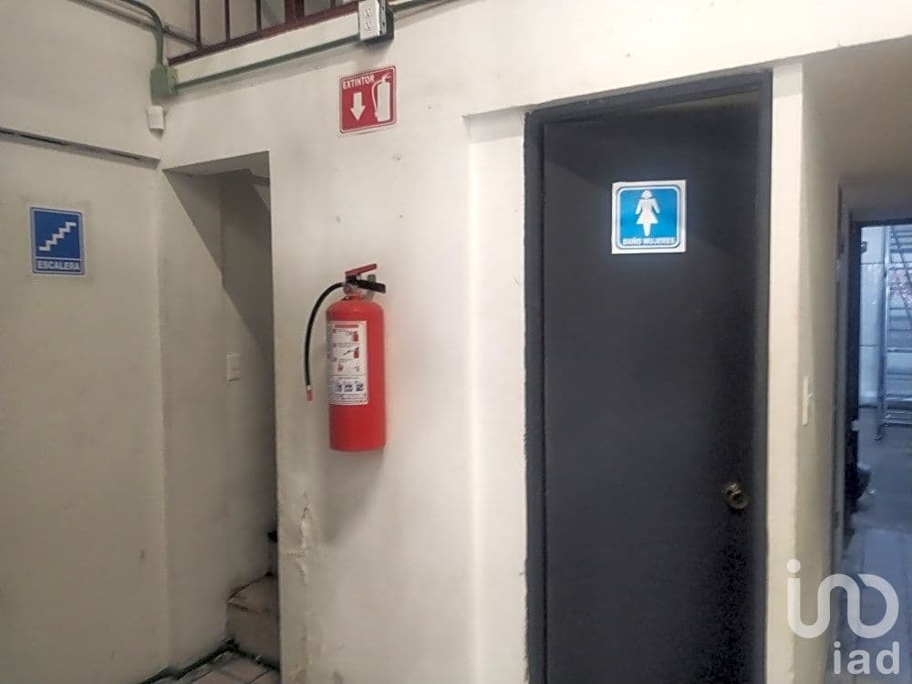 Fotos adicionales