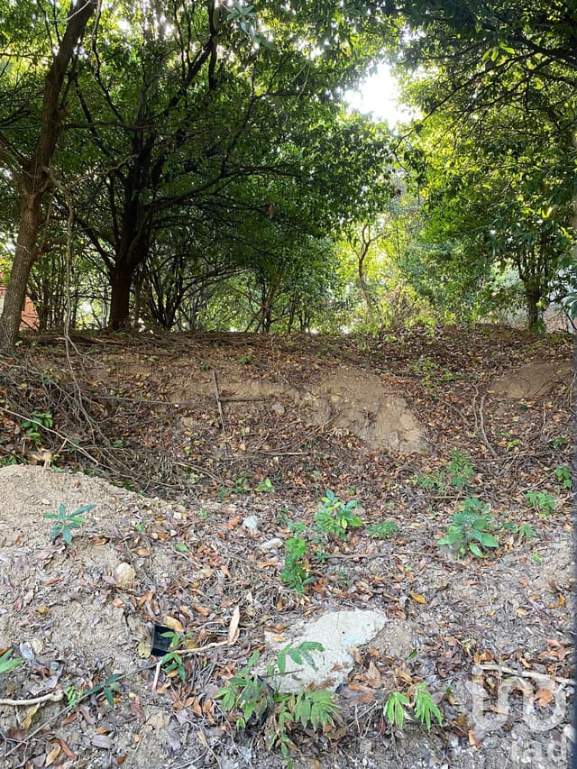 VENTA DE TERRENO, RIO GRIJALVA, COLINAS DEL SUR. TUXTLA