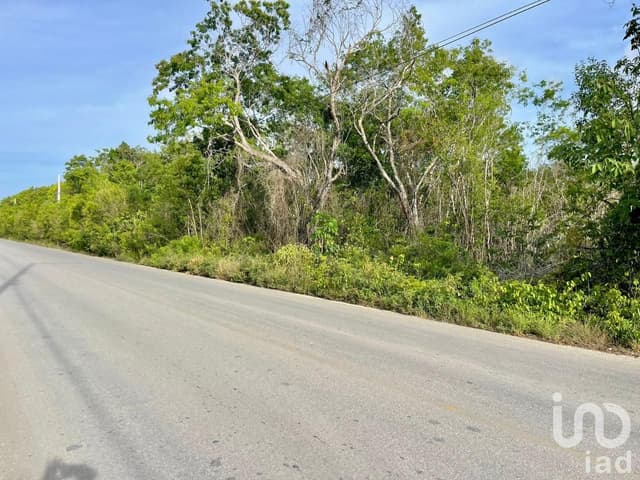 TERRENO EN VENTA EN AV. ROGELIO CASTORENA, CANCUN