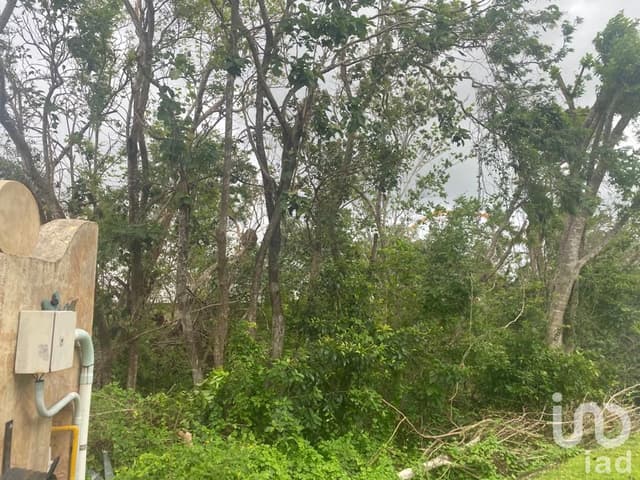 TERRENO EN VENTA EN RESIDENCIAL LAGOS DEL SOL FRENTE AL LAGO EN CANCUN QUINTANA ROO