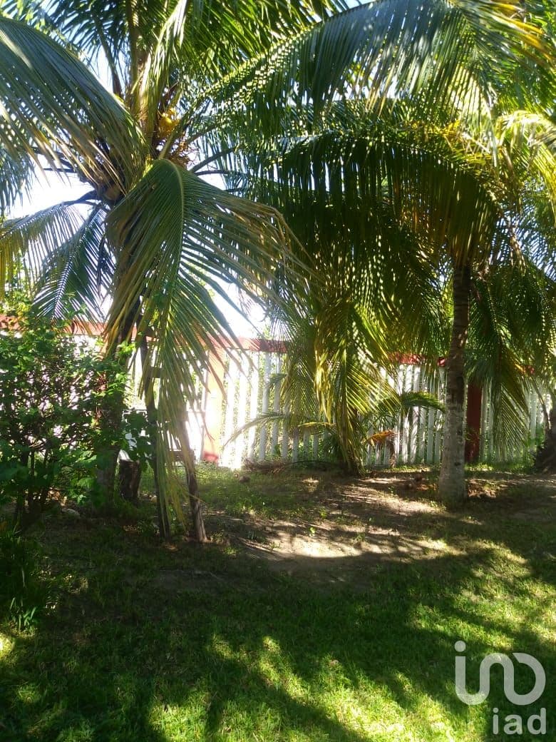 Fotos adicionales