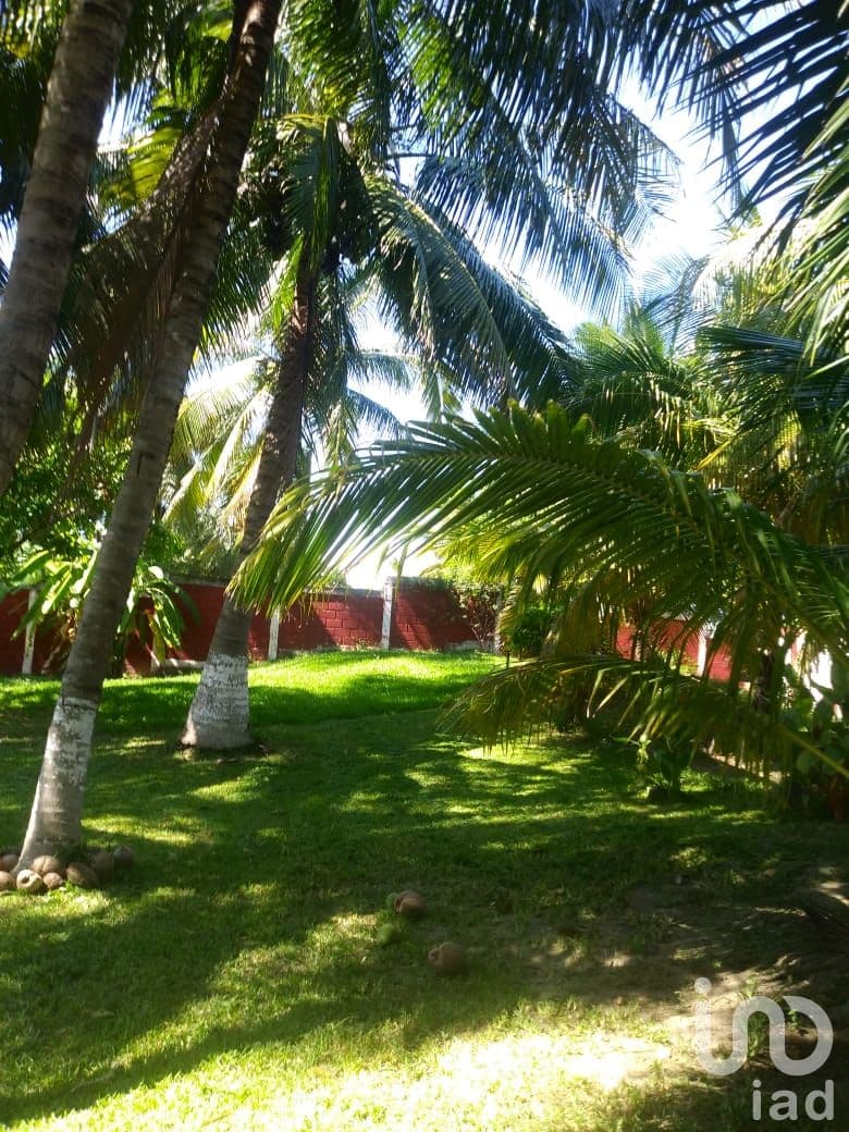 Fotos adicionales