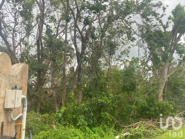 VENTA DE TERRENO EN LAGOS DEL SOL CANCUN QUINTANA ROO