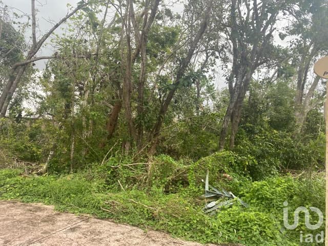 TERRENO EN VENTA EN LAGOS DEL SOL CANCUN QUINTANA ROO
