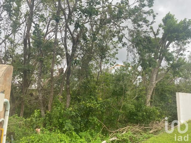TERRENO EN VENTA EN LAGOS DEL SOL CANCUN QUINTANA ROO