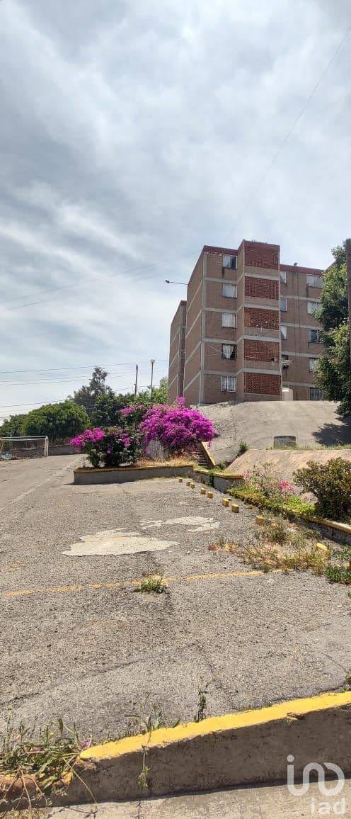 Fotos adicionales