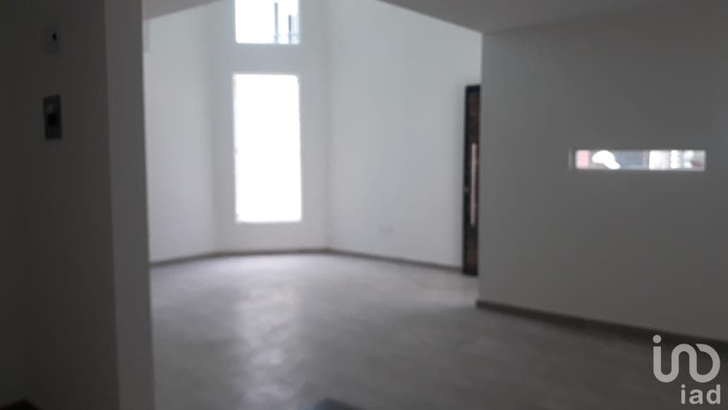 Fotos adicionales