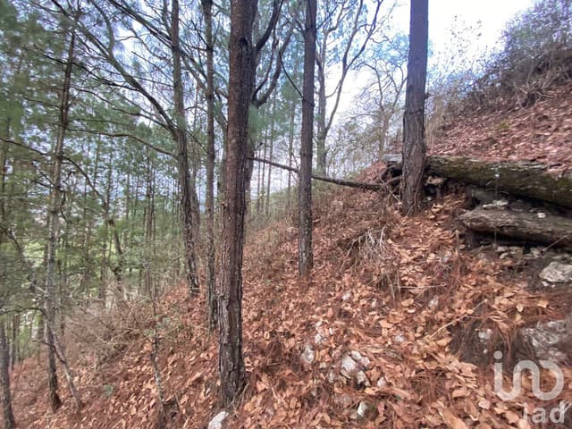 Terreno en Venta en San Nicolas, San Cristóbal de Las Casas