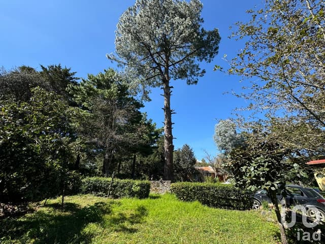 Se Vende Terreno en La Quinta San Martin, San Cristóbal de Las Casas, Chiapas