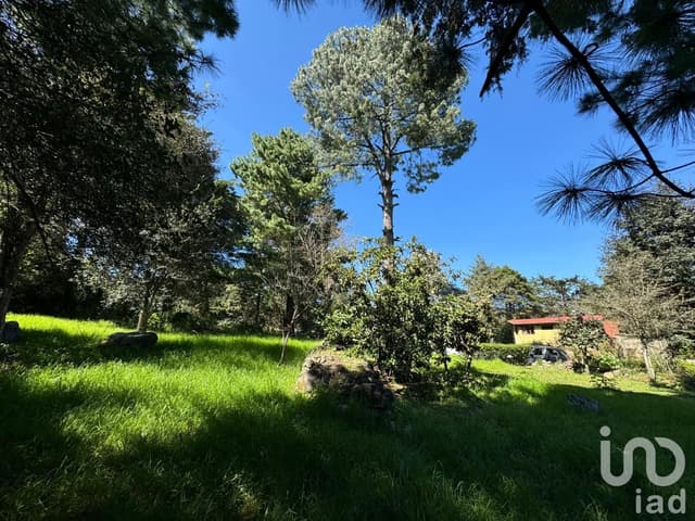 Se Vende Terreno en La Quinta San Martin, San Cristóbal de Las Casas, Chiapas