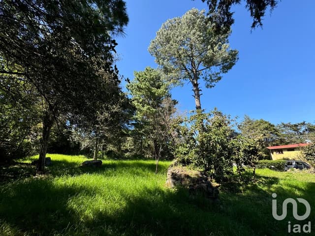 Se Vende Terreno en La Quinta San Martin, San Cristóbal de Las Casas, Chiapas