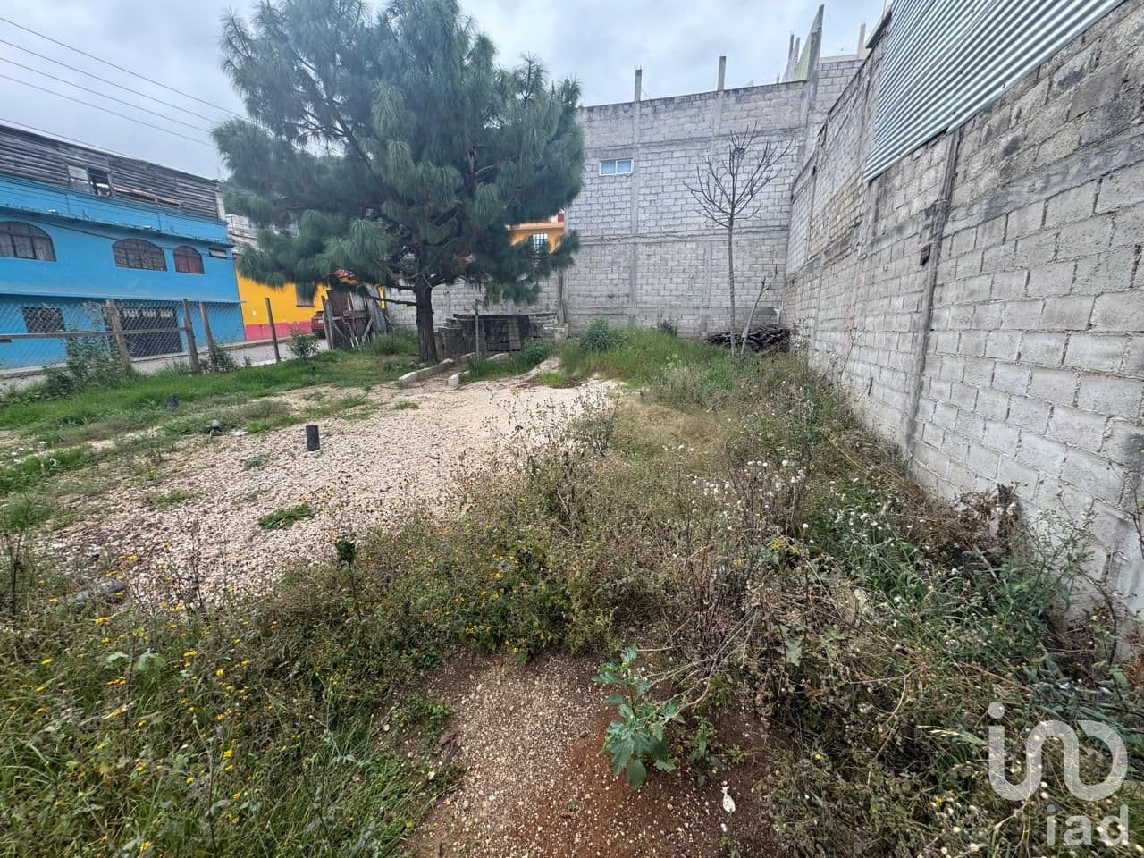 Fotos adicionales