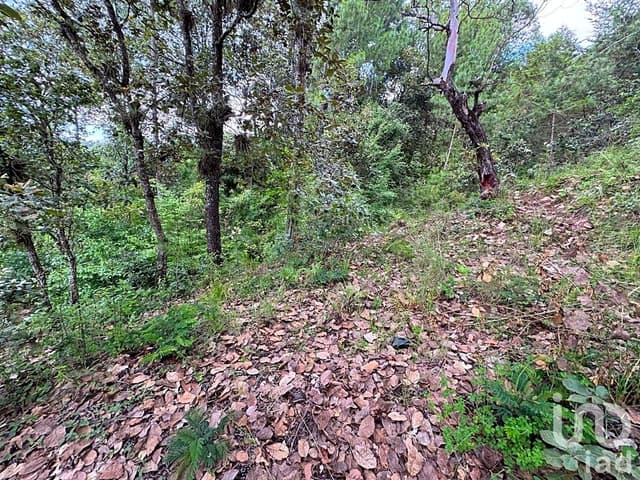 Terreno en venta en Huitepec, San Cristóbal de Las Casas