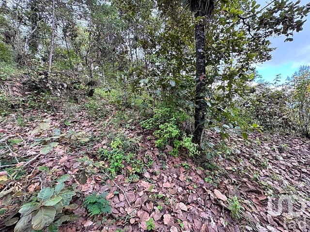 Terreno en venta en Huitepec, San Cristóbal de Las Casas