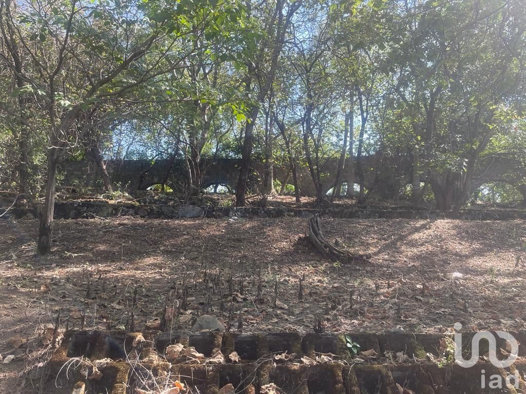 Fotos adicionales