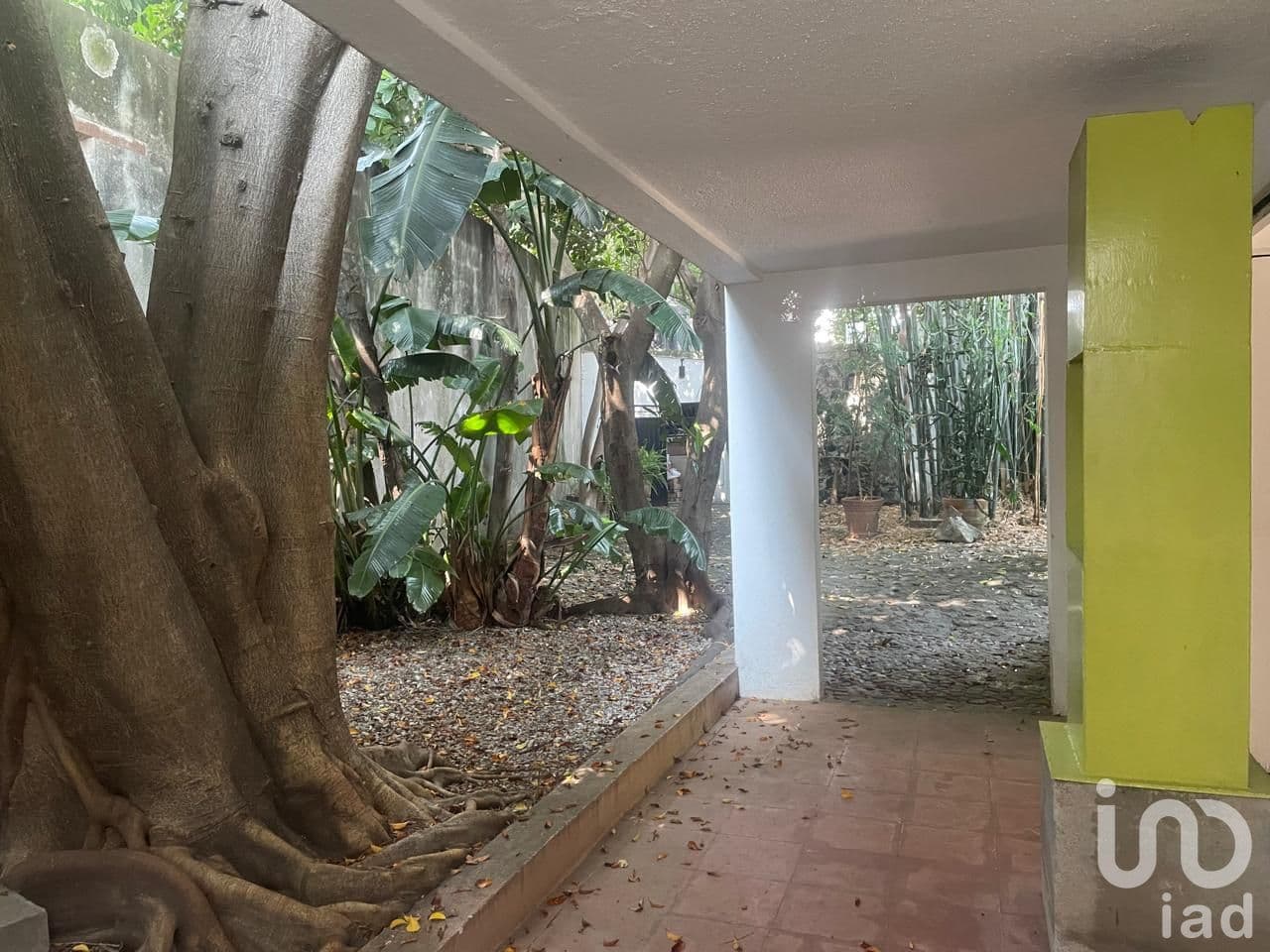 Fotos adicionales