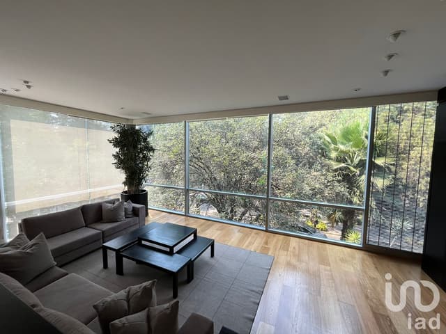Se renta departamento duplex con vista al Parque lincoln