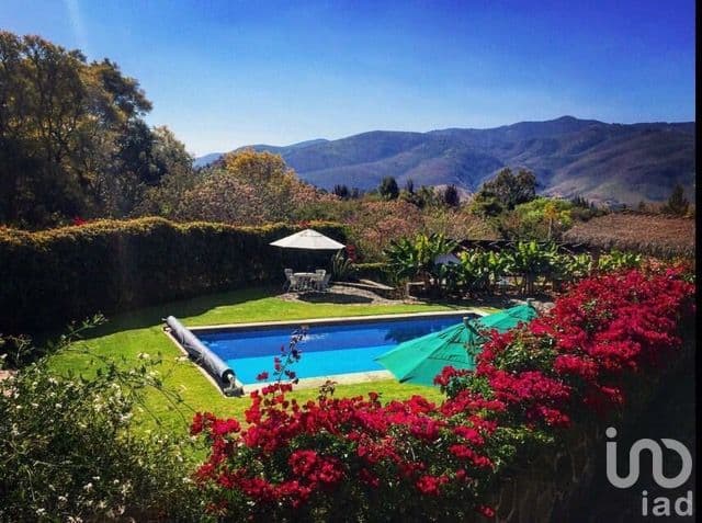 Fotos adicionales