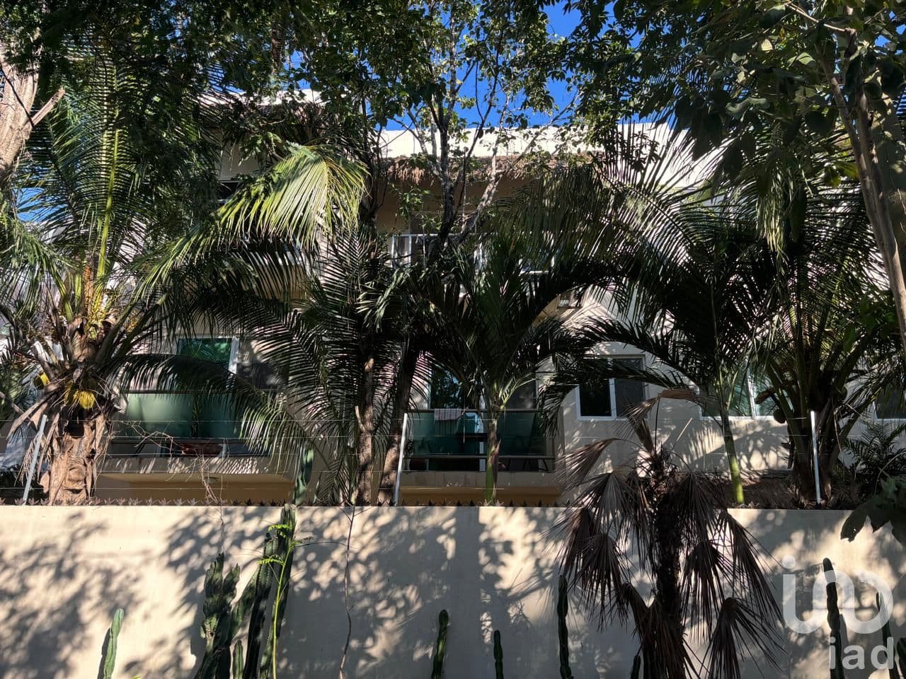 Fotos adicionales