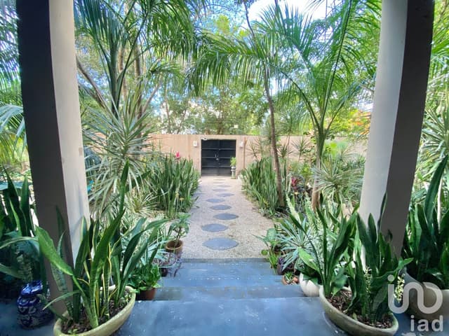 Se vende hermoso edificio de 8 departamentos en la Veleta Tulum ,Quintana Roo