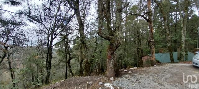 Se vende Terreno en Fraccionamiento Bosques de San Cayetano, en Mineral del Monte, Hidalgo.