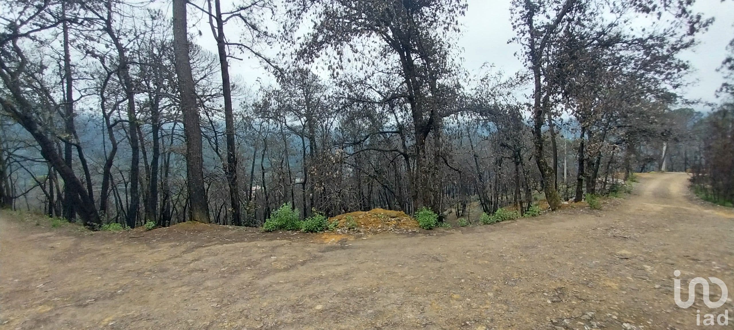 Fotos adicionales