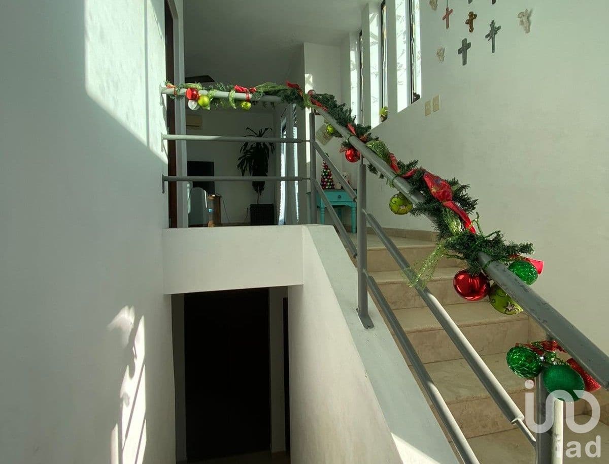 Fotos adicionales