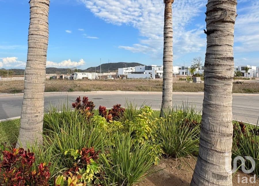 Fotos adicionales