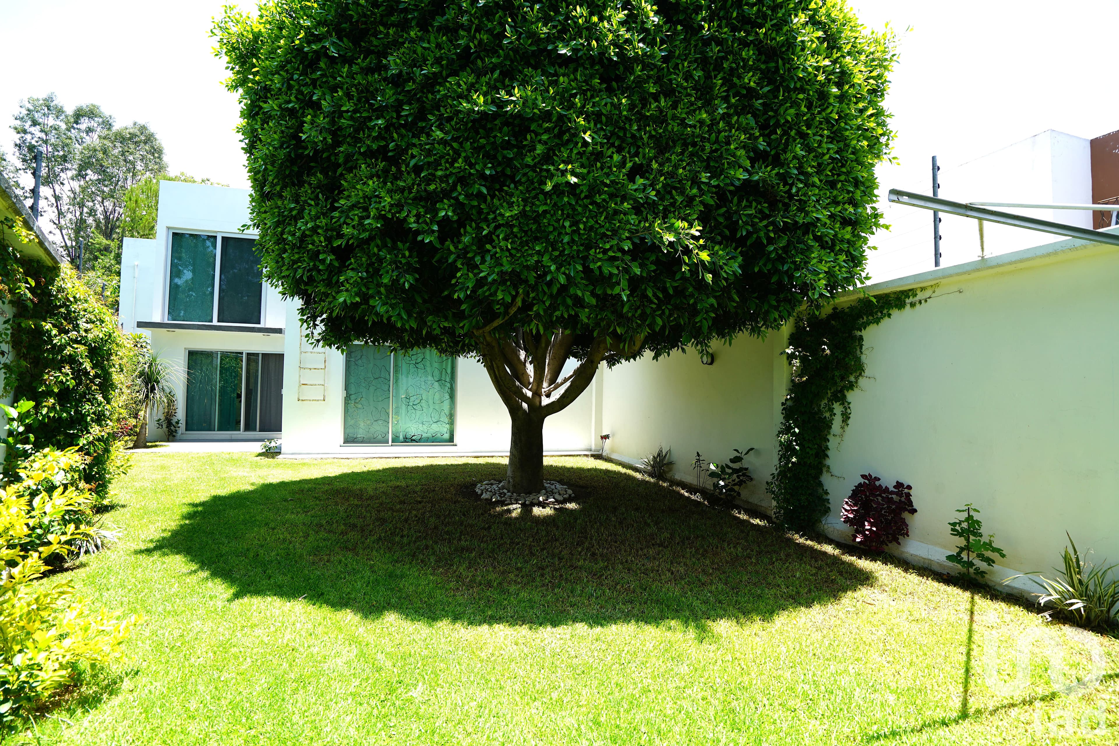 Fotos adicionales