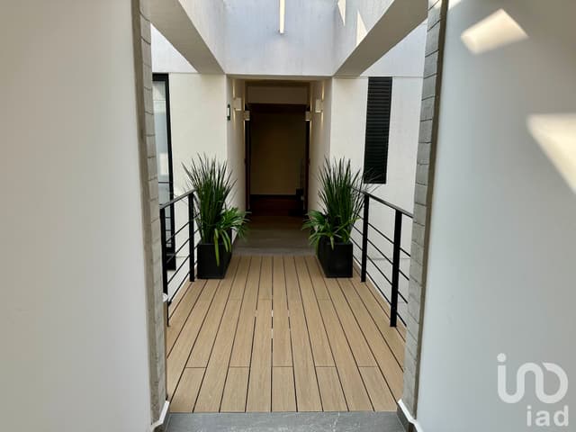 Renta departamento Río Panuco