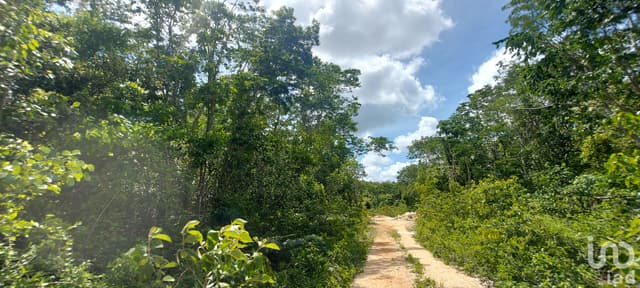 Terreno en Venta en Tulum Quintana Roo