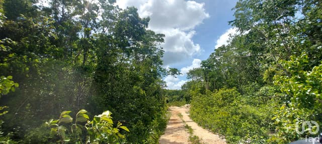 Terreno en Venta en Tulum Quintana Roo