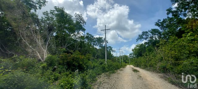 Terreno en Venta en Tulum Quintana Roo