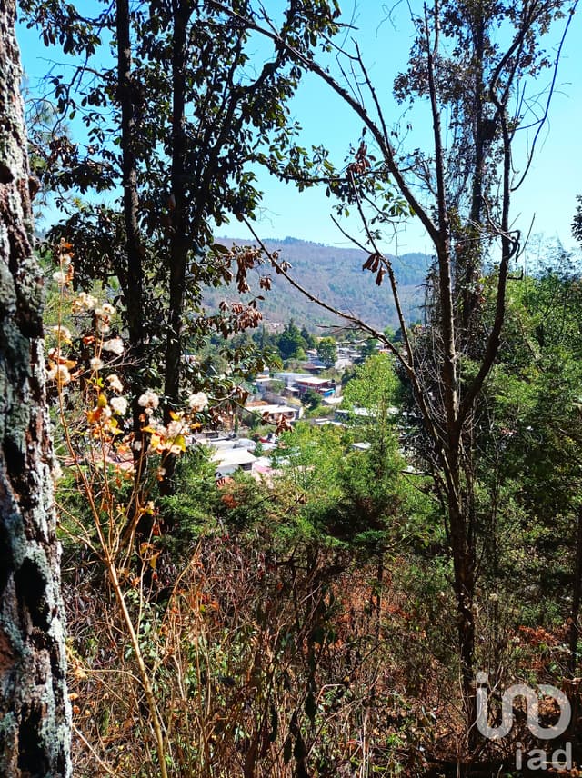 Terreno en venta, Cuxtitali, San Cristóbal de las Casas, Chiapas