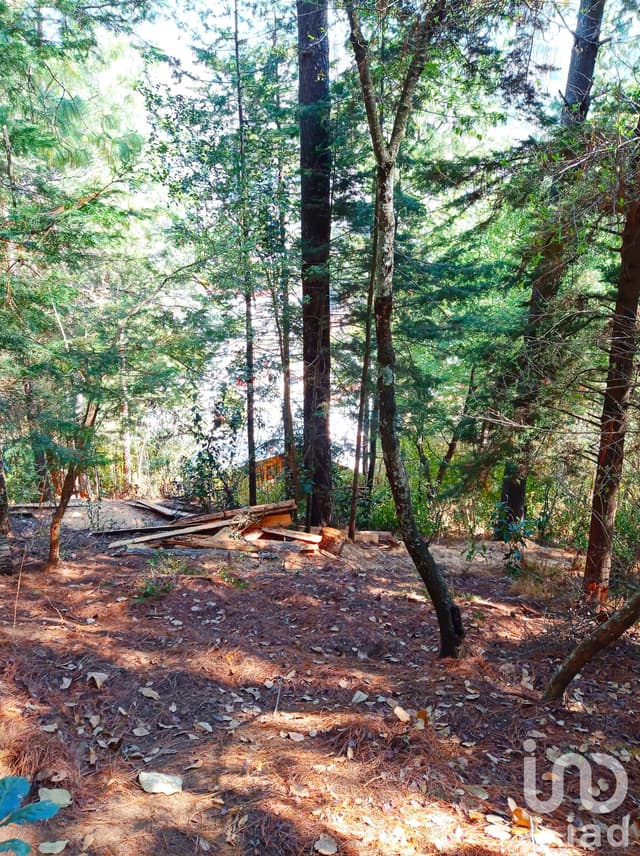 Terreno en venta, Cuxtitali, San Cristóbal de las Casas, Chiapas