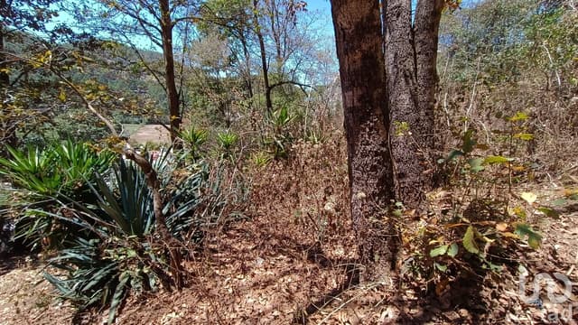 Terreno en venta, Barrio de la Garita, San Cristóbal de las Casas